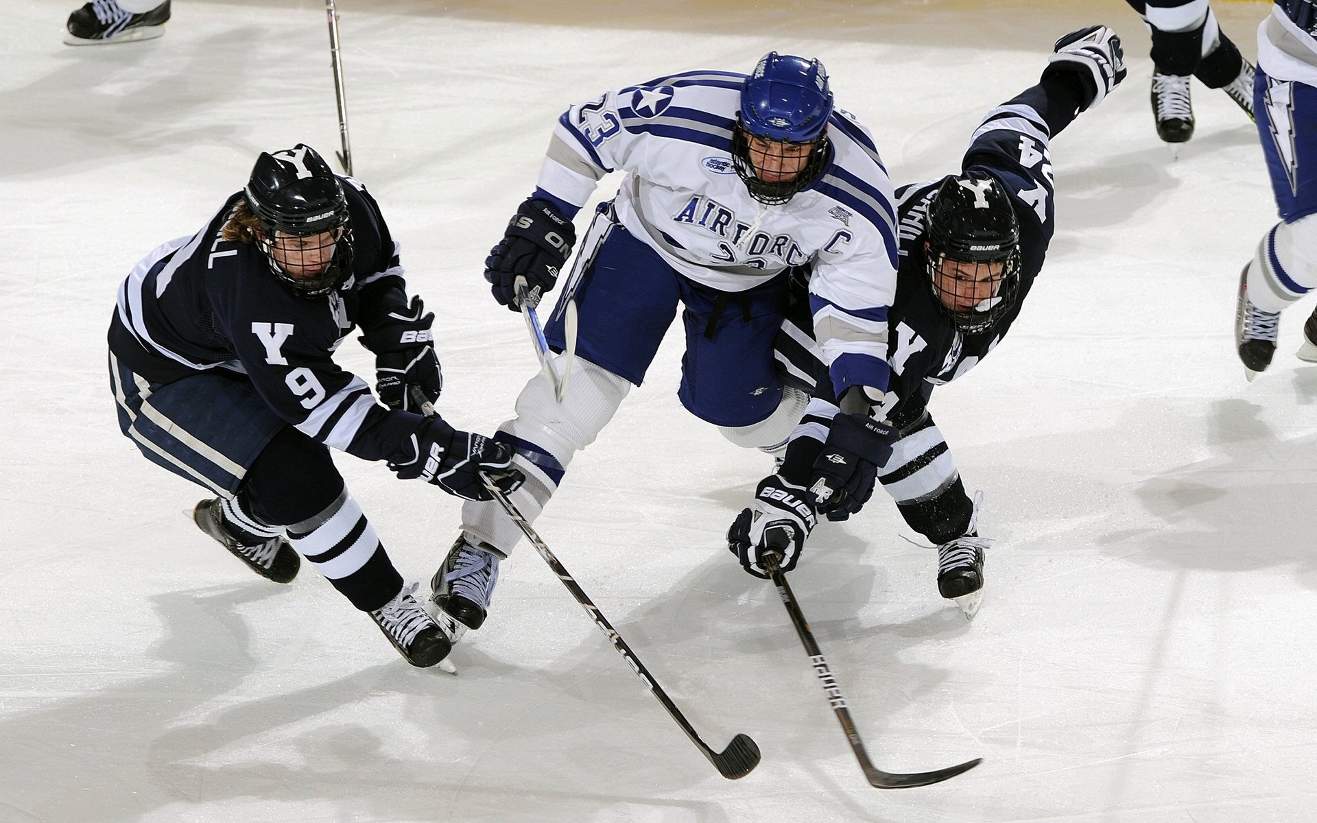 体育焦点栏目新一期上线,体育焦点栏目新一期上线了吗